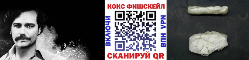 Cocaine Fish Scale  купить   Суворов 