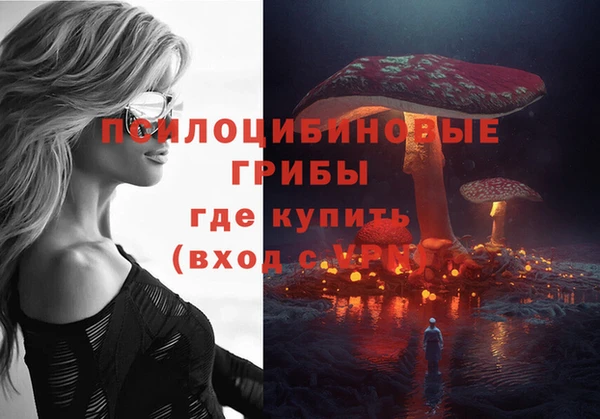 тгк Липки