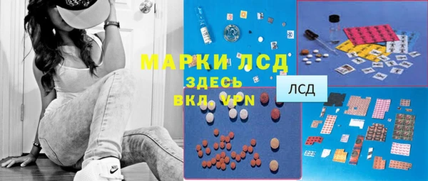 стаф Ладушкин