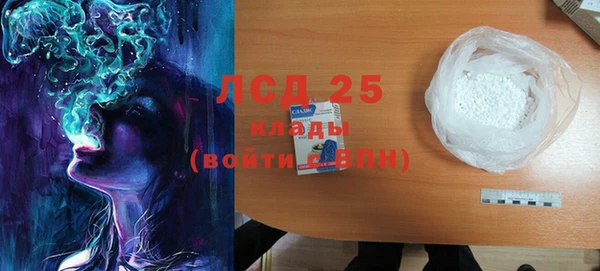 стаф Ладушкин