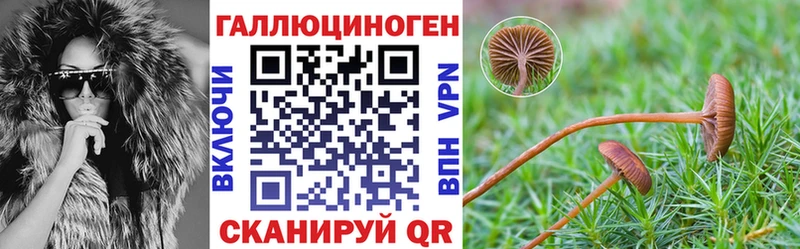 наркота  Суворов  Галлюциногенные грибы MAGIC MUSHROOMS 